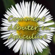 Débuter en apiculture
