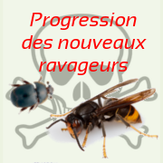 Nouveaux ravageurs