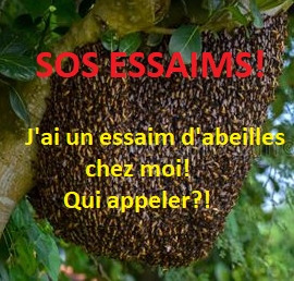 Essaim : qui appeler